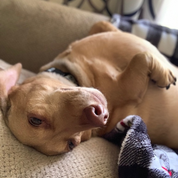 Share for share...⬇️⬇️⬇️⬇️. PLEASE read below. - Picture 9 of 16